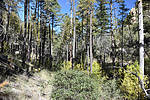 photo thumbnail #7