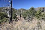 photo thumbnail #10