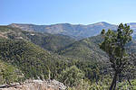 photo thumbnail #12