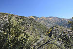 photo thumbnail #15