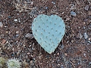 photo thumbnail #6
