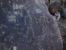 photo thumbnail #12