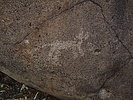 photo thumbnail #14