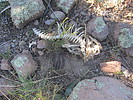 photo thumbnail #1