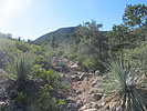 photo thumbnail #2