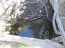 photo thumbnail #15
