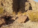 photo thumbnail #6
