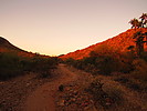 photo thumbnail #1