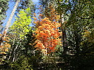 photo thumbnail #15