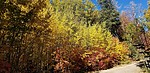 photo thumbnail #5