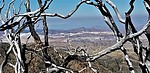 photo thumbnail #13