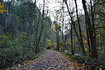 photo thumbnail #4