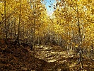 photo thumbnail #2