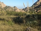 photo thumbnail #4