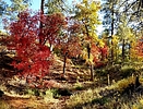 photo thumbnail #3