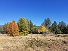 photo thumbnail #11