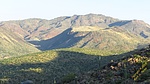 photo thumbnail #4