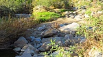 photo thumbnail #11