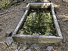 photo thumbnail #9