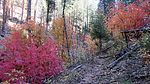 photo thumbnail #5