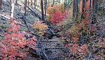 photo thumbnail #6
