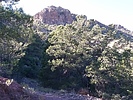 photo thumbnail #1