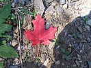 photo thumbnail #11