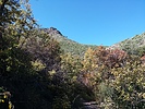 photo thumbnail #15