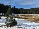 photo thumbnail #12