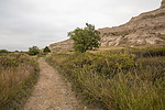 photo thumbnail #10