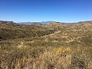 photo thumbnail #1