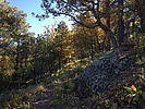 photo thumbnail #1