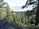 photo thumbnail #11
