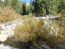 photo thumbnail #14