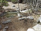 photo thumbnail #5