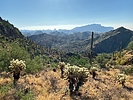 photo thumbnail #9