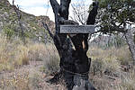 photo thumbnail #7