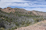photo thumbnail #10
