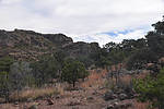 photo thumbnail #12
