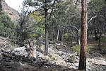 photo thumbnail #14