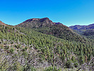 2019-10-25 :1: Cienega Spring Explore - Sierra Ancha :: Oregon_Hiker