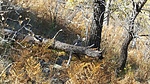photo thumbnail #1