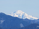 photo thumbnail #5