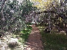 photo thumbnail #1
