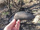 photo thumbnail #11