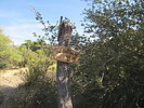 photo thumbnail #15