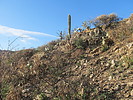 photo thumbnail #10