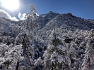 photo thumbnail #4