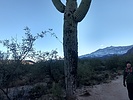photo thumbnail #10