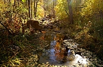 photo thumbnail #11